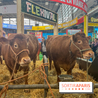 Salon de l'agriculture 2024 - image00038