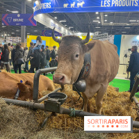 Salon de l'agriculture 2024 - image00033