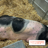 Salon de l'agriculture 2024 - image00028