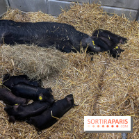 Salon de l'agriculture 2024 - image00029