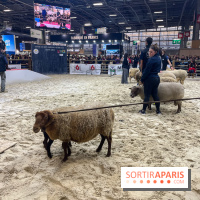 Salon de l'agriculture 2024 - image00026