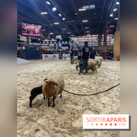 Salon de l'agriculture 2024