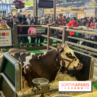 Salon de l'agriculture 2024 - image00021