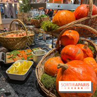 Brunch Umami Burger - image00035