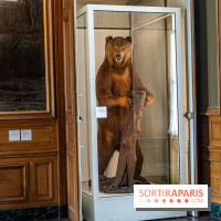 Château de Compiègne -  A7C7329