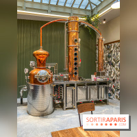 La Distillerie de l’Arbre Sec : l'atelier de création de gin à deux pas du Louvre