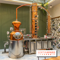 La Distillerie de l’Arbre Sec : l'atelier de création de gin à deux pas du Louvre