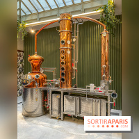 La Distillerie de l’Arbre Sec : l'atelier de création de gin à deux pas du Louvre