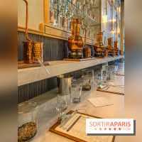 La Distillerie de l’Arbre Sec : l'atelier de création de gin à deux pas du Louvre