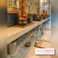 La Distillerie de l’Arbre Sec : l'atelier de création de gin à deux pas du Louvre