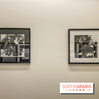 Exposition Sumi et Motion de la calligraphe japonaise Aya Wada à la galerie La Lison - IMG 4933