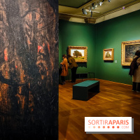 La voix de la forêt : l'exposition qui nous reconnecte avec la nature au Petit Palais - photos - IMG20240304100913