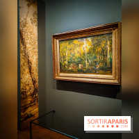 La voix de la forêt : l'exposition qui nous reconnecte avec la nature au Petit Palais - photos - IMG20240304100810