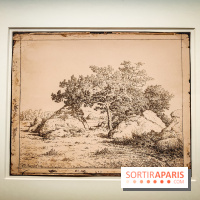 La voix de la forêt : l'exposition qui nous reconnecte avec la nature au Petit Palais - photos - IMG20240304100733