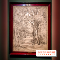 La voix de la forêt : l'exposition qui nous reconnecte avec la nature au Petit Palais - photos - IMG20240304100942