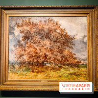 La voix de la forêt : l'exposition qui nous reconnecte avec la nature au Petit Palais - photos - IMG20240304101038