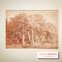 La voix de la forêt : l'exposition qui nous reconnecte avec la nature au Petit Palais - photos - IMG20240304101014