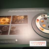 La voix de la forêt : l'exposition qui nous reconnecte avec la nature au Petit Palais - photos - IMG20240304101321