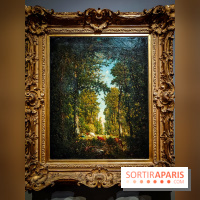 La voix de la forêt : l'exposition qui nous reconnecte avec la nature au Petit Palais - photos