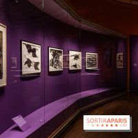Exposition T'ang Haywen au Musée Guimet à Paris