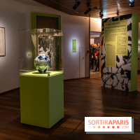 Exposition T'ang Haywen au Musée Guimet à Paris -  A7C8063