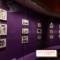 Exposition T'ang Haywen au Musée Guimet à Paris