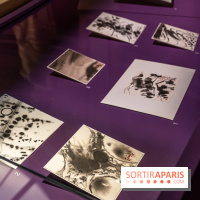 Exposition T'ang Haywen au Musée Guimet à Paris