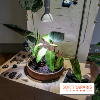 Suivre les ondes, nos photos de l'expo à l'Institut suédois