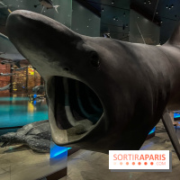 Grande Galerie de l'évolution- visuels 2024 - image00114