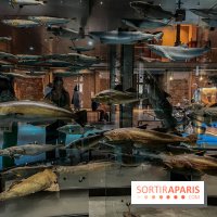 Grande Galerie de l'évolution- visuels 2024 - image00101