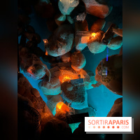 Grande Galerie de l'évolution- visuels 2024 - image00105