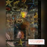 Grande Galerie de l'évolution- visuels 2024