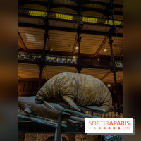 Grande Galerie de l'évolution- visuels 2024