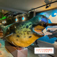 Grande Galerie de l'évolution- visuels 2024 - image00092