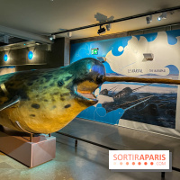 Grande Galerie de l'évolution- visuels 2024 - image00093