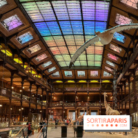 Grande Galerie de l'évolution- visuels 2024 - image00081