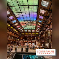 Grande Galerie de l'évolution- visuels 2024 - image00082