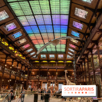 Grande Galerie de l'évolution- visuels 2024