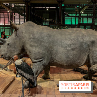 Grande Galerie de l'évolution- visuels 2024 - image00071