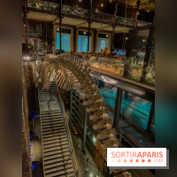 Grande Galerie de l'évolution- visuels 2024
