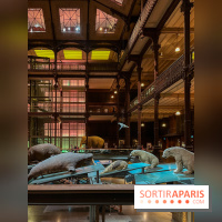 Grande Galerie de l'évolution- visuels 2024 - image00077