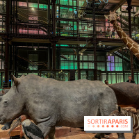 Grande Galerie de l'évolution- visuels 2024 - image00063