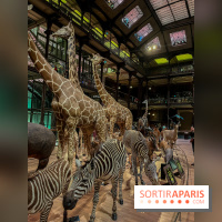 Grande Galerie de l'évolution- visuels 2024