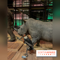 Grande Galerie de l'évolution- visuels 2024 - image00069