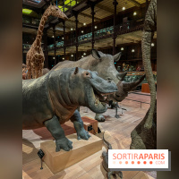 Grande Galerie de l'évolution- visuels 2024 - image00055