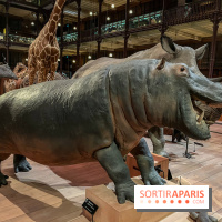 Grande Galerie de l'évolution- visuels 2024