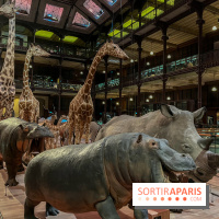 Grande Galerie de l'évolution- visuels 2024