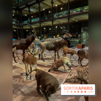 Grande Galerie de l'évolution- visuels 2024 - image00047