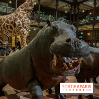 Grande Galerie de l'évolution- visuels 2024 - image00042