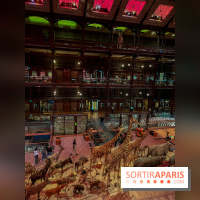 Grande Galerie de l'évolution- visuels 2024